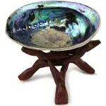 Ocean Shell Studios 5-6 inches Premium Natural Abalone (Pāua) Shell with Wood...