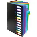 24 Clear Pocket Expanding File Folder with 12 Colored Tabs, Letter Size, Holds 3