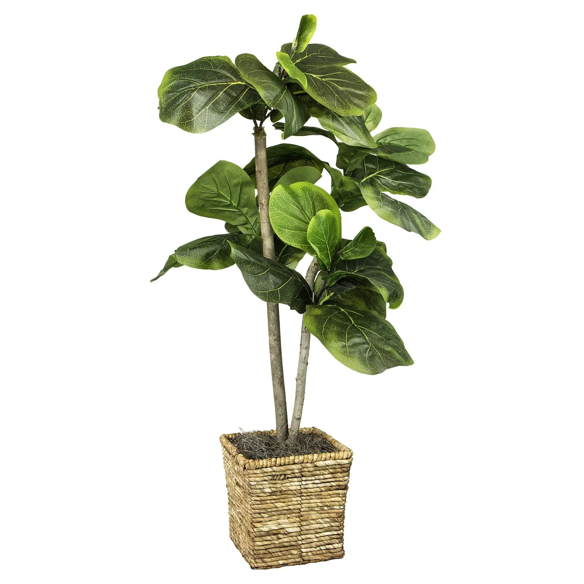 Designs by Lauren Artificial Fiddle Leaf  Fig Tree