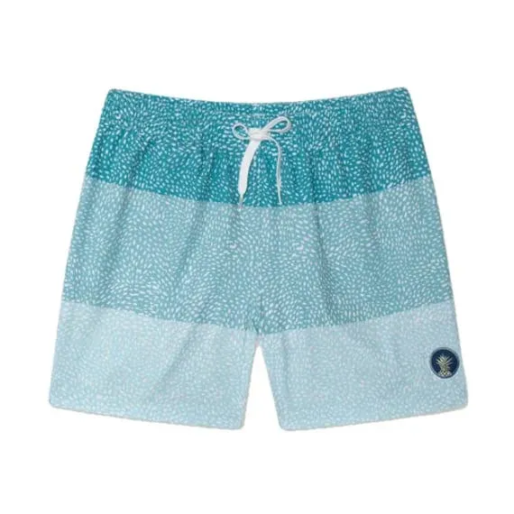 Chubbies Men's The Whale Sharks 5.5" Swim Trunk