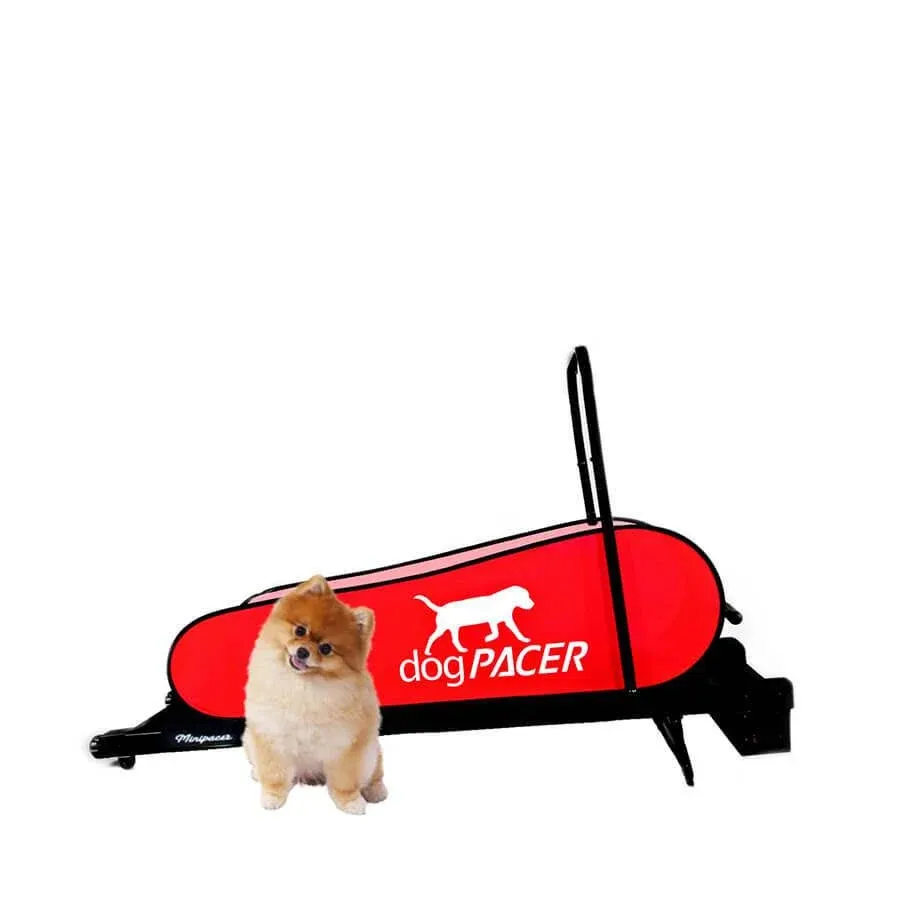 dogPACER Minipacer Dog Treadmill